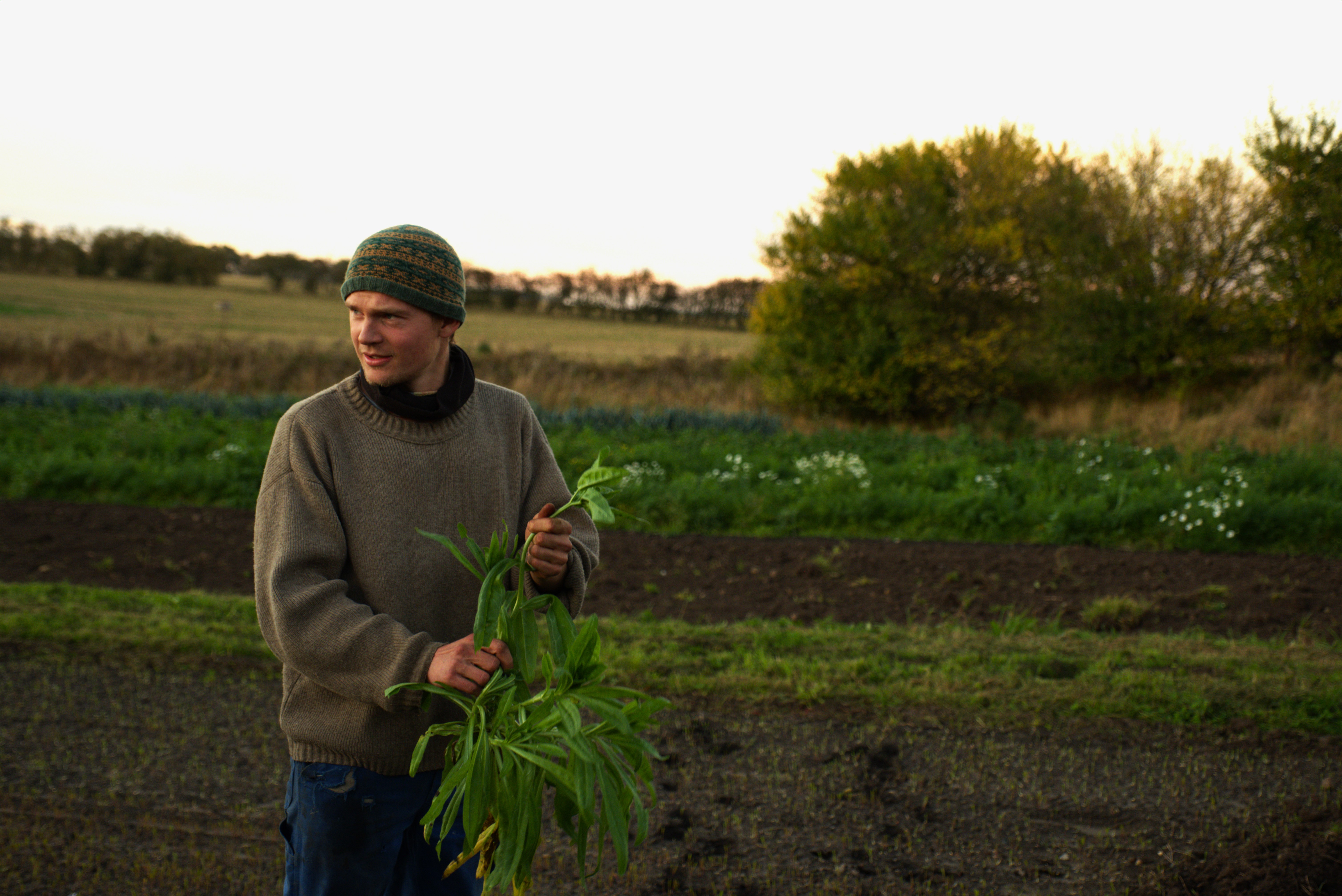 Mange unge bønder dyrker små landbrug med stor mangfoldighed i arter og sorter. De risikerer at blive ramt af den nye frøforordning. Jonatan Rønn